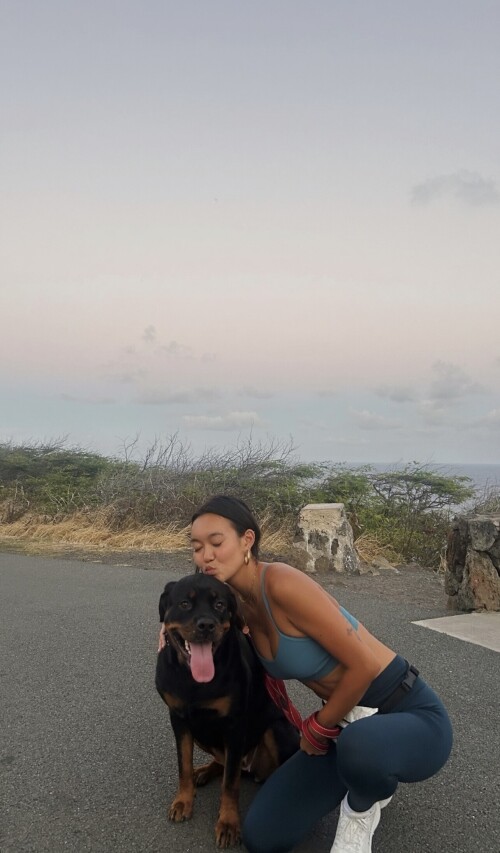 IMG 9014178ac7eab97fdb01