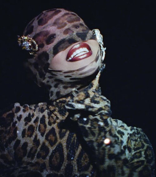 IMG 904783aaf7b558bc500d