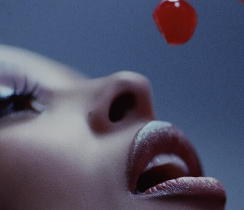 IMG 90572805a8d243233288