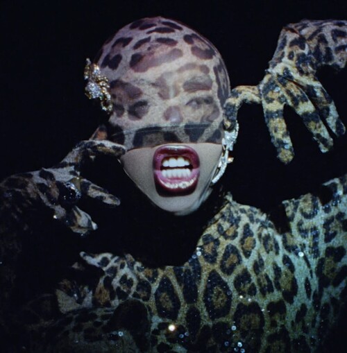 IMG 9084acfa5c52054bbee3