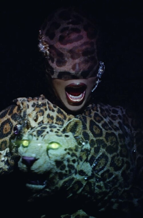 IMG 909536f70ad9905f3e49