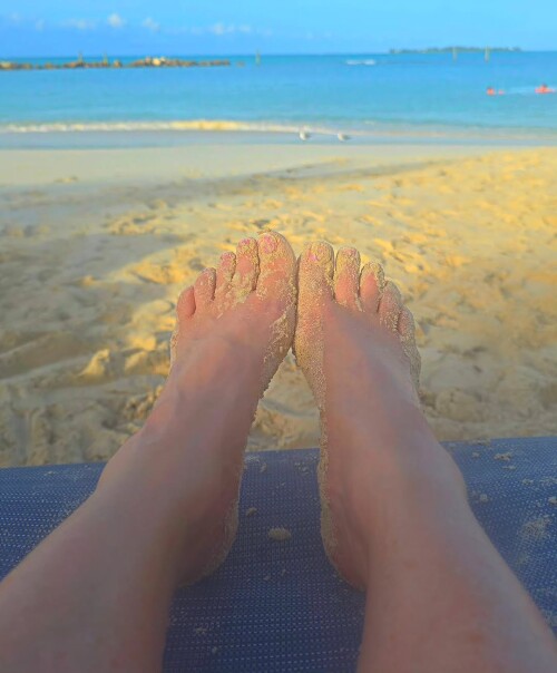 IMG 9241e5afd7b4d1e36820