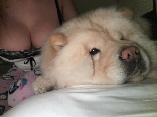 IMG 93626494a90fe5959e70