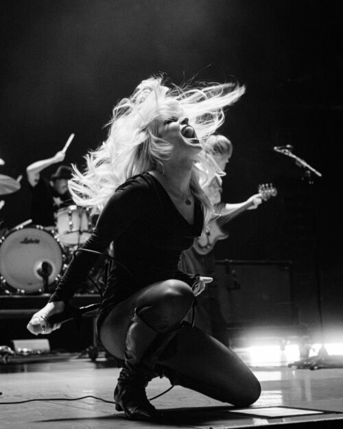 IMG 9365c731df837da2e0be