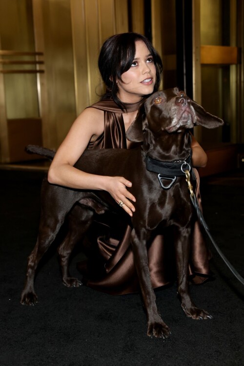 IMG 938685de5769635c4483