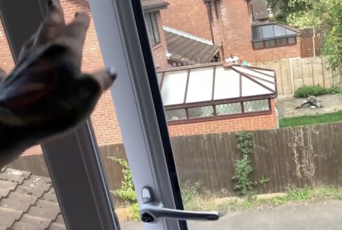 IMG 9397015b04be931804ba