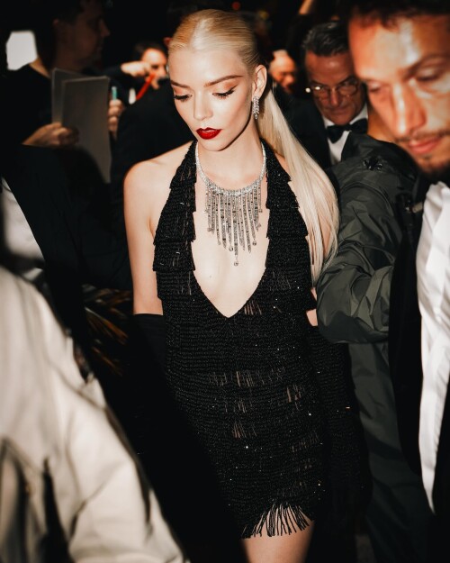 IMG 9418bf7953261925e423