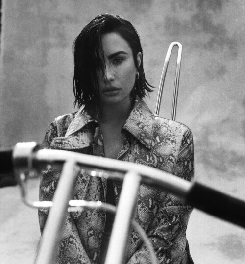 IMG 9462f9437cd09678b7d3