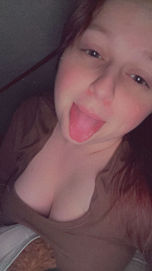 IMG 946561fece6208532fd4