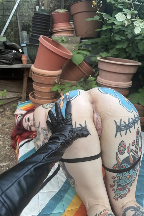 IMG 9486654d54b5e7b10c77