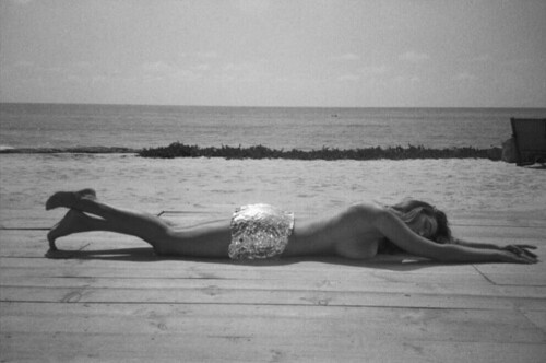 IMG 9676fee0a5ce36346793