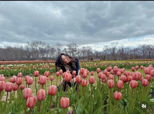 IMG 96814b06d9c73edafaaf