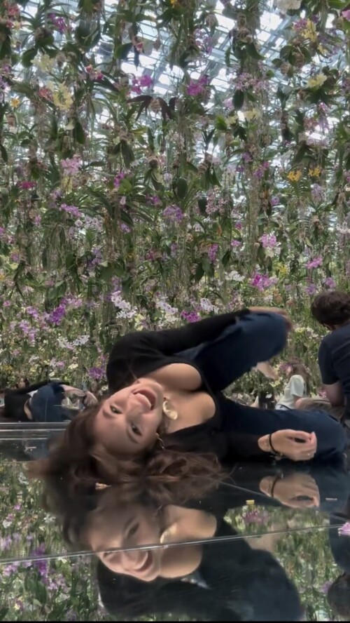 IMG 96883edbc668ddee4cff