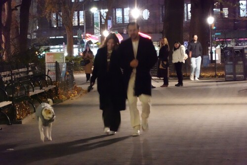 IMG 9710d56c47dce8530414