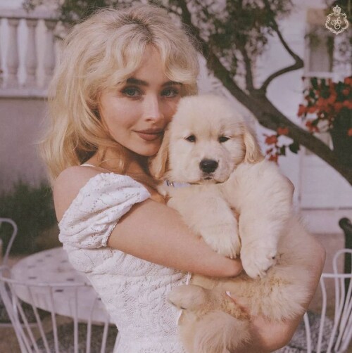 IMG 97426a4b3a06a69f6829