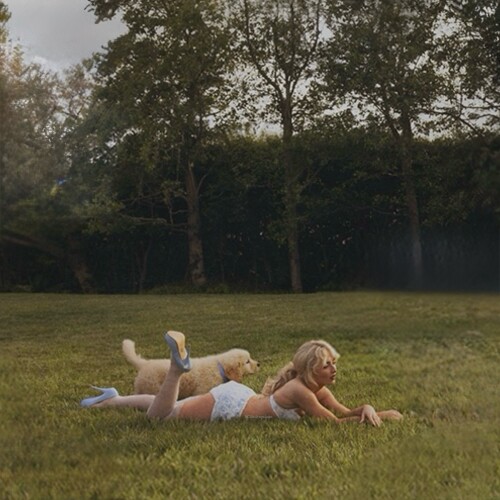 IMG 9802a26ceebfd4e26a47