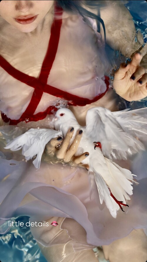 IMG 9826c68de8e8496110d9