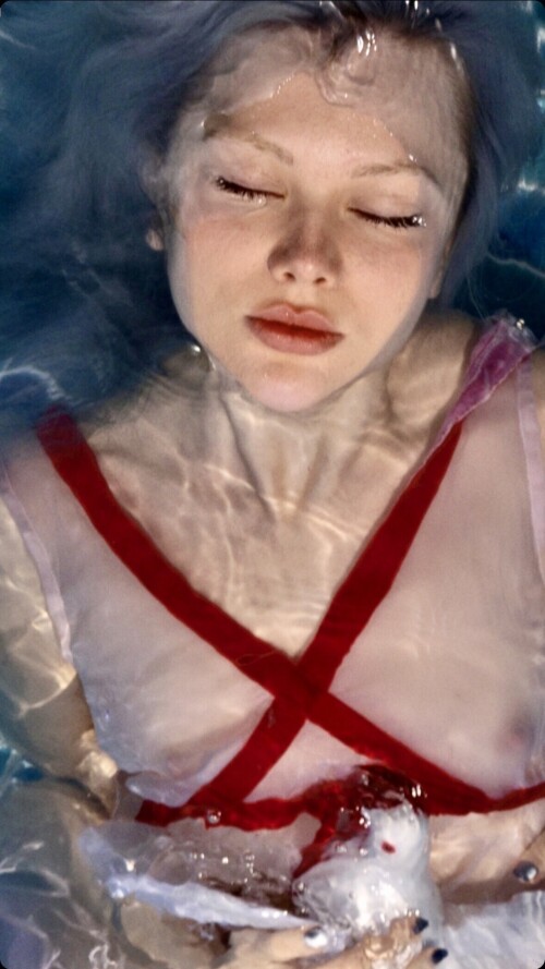 IMG 9827e10c4e19e39bc2bd