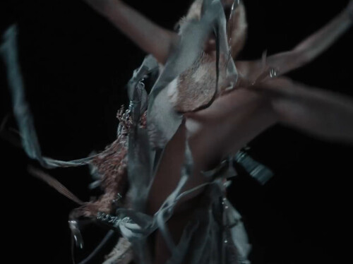 IMG 98556f822191f5c18b3e