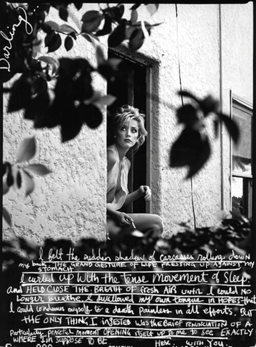 IMG 999565e6387d7cdc13d8