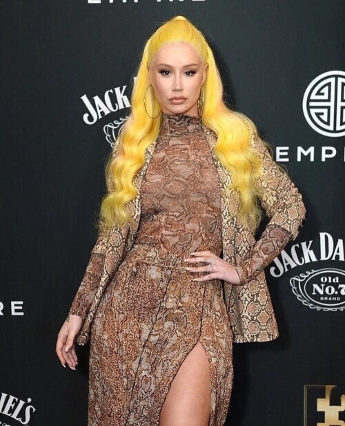 Iggy340f71d01251358ee