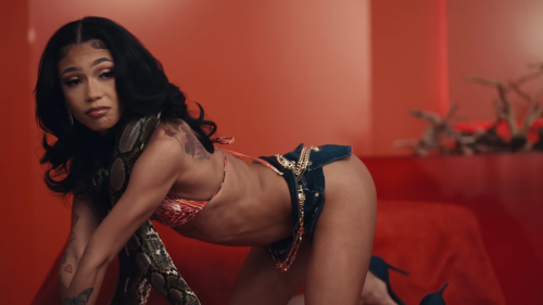 Image-2037f9212ab8cf4985b