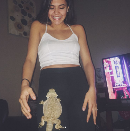 Imgur---_YboYHlu832e3710705adb21