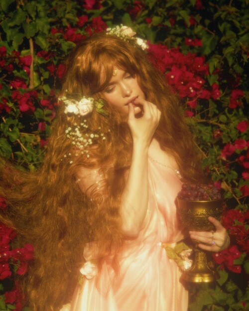 InstaTikSaver 2024310756404eb54d0b8a543040