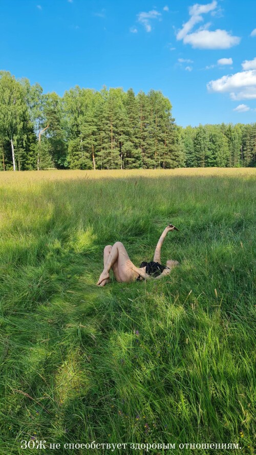 Instagram dark amerika stories 3526756734208668802d7c83e5dca20ceef