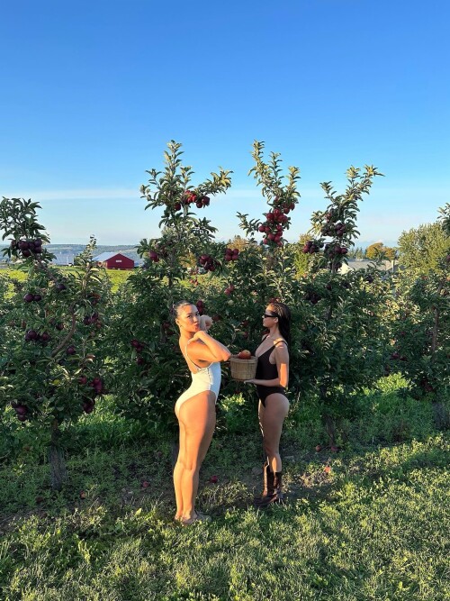 Instagram 37246772102342812538287e75cf73771a5