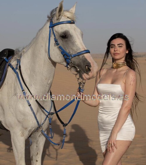 Internet 20241123 161610 90d48e7ab7c329b66