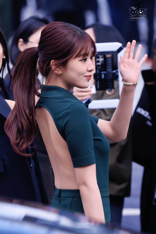 Jespuppy 901 1898702977793392726 18b637fa3d17d25ee