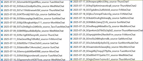 July 2025 Daily Chatsd73edf277d55b3ef