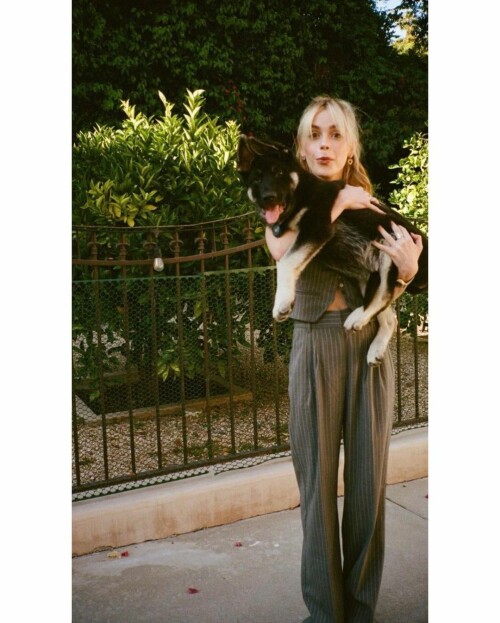 KS 23.08. Dog a120a456d495742c2