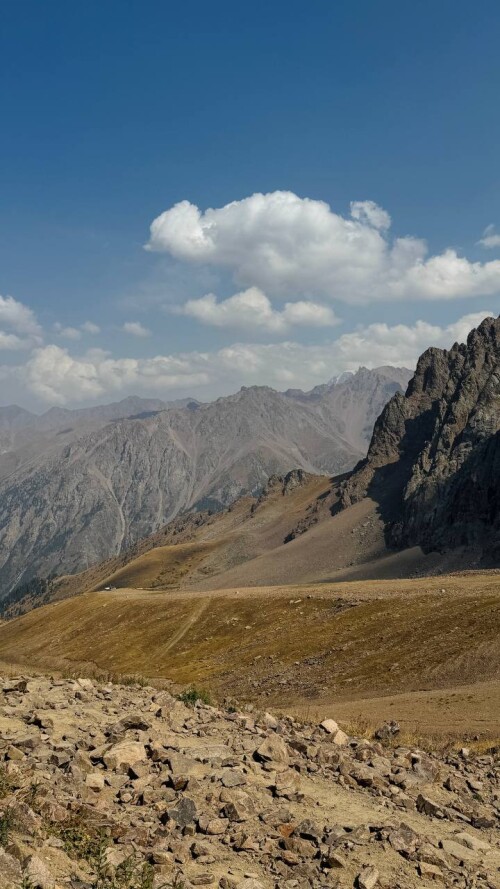 KUPRIANOW 2025 09 10 18 29 283fbb50278e191645