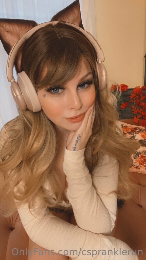 Kitten9ed138b097daa9523