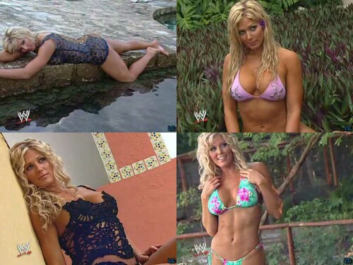 LC WWEVivaLasDivas TorrieWilson1