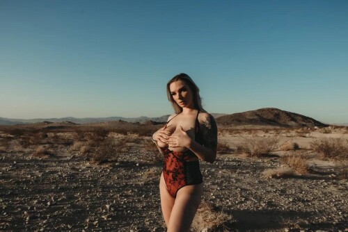 LJ Red Desert 320d4e0360dc623da