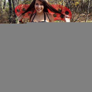 Ladybug-01324c61e8fc217bff