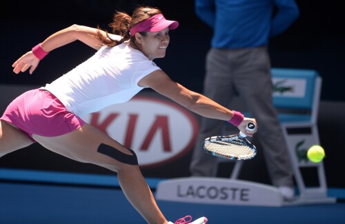 Li Na 18sb66f114f26c0de96