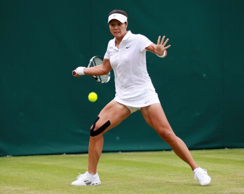 Li Na 21a8496b28c5d17514