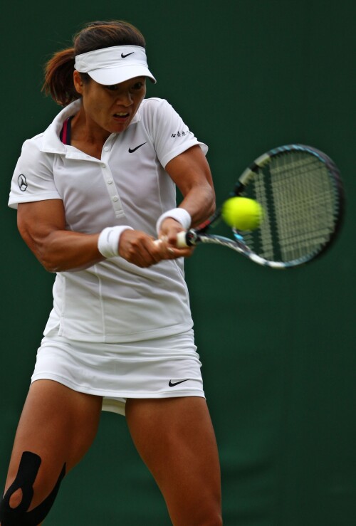 Li Na 99b5df6b277d39e34