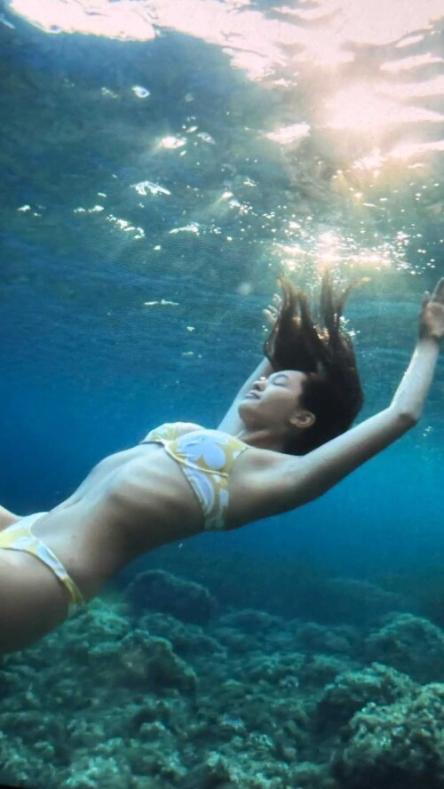 Lily Chee SC 7d56f18f8555b66b5