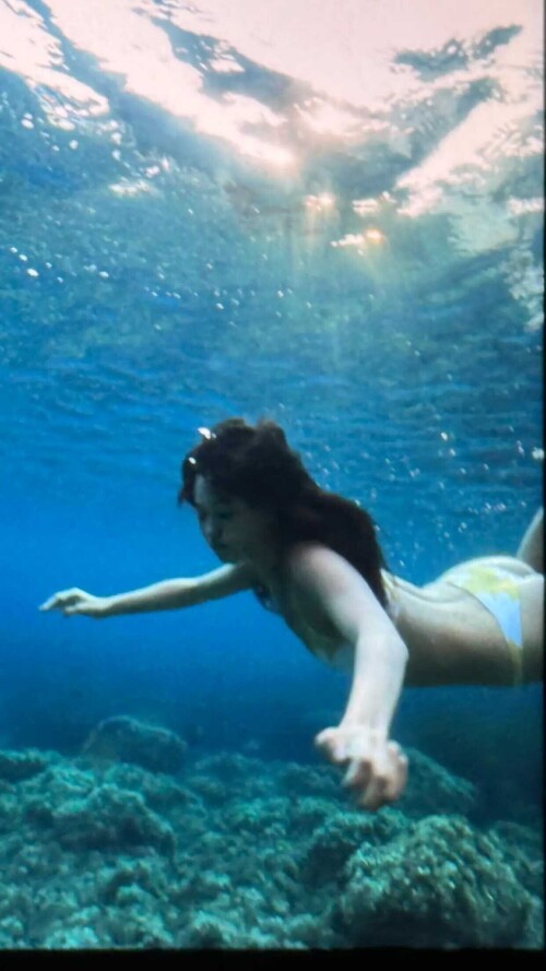 Lily Chee SC 84c609c3f373e4652