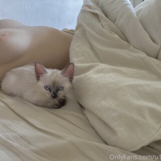 Lilyagr-53be4a902e59357684