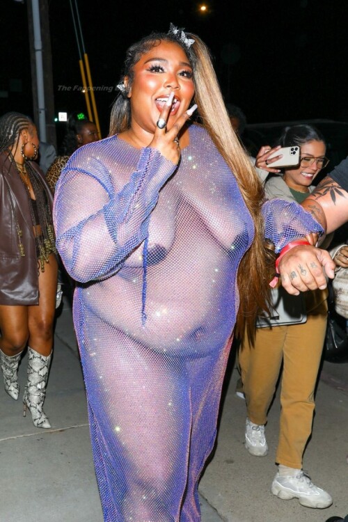 Lizzo See Through The Fappening Blog 6 768x115294ff66fbc2606c88
