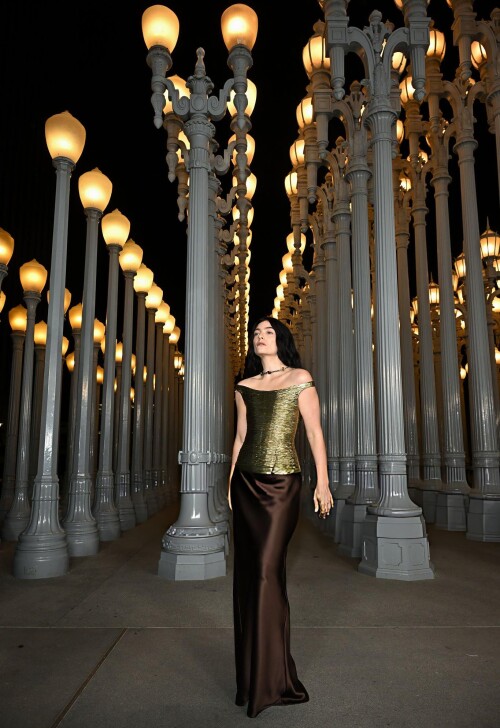 Lorde attends the 2025 LACMA Art Film Gala 27ef1aa7212e0aa713
