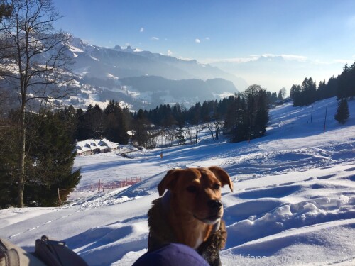 Lou Charmelle OnlyFans 12019834396862e4a156