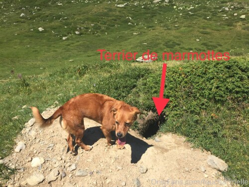 Lou Charmelle OnlyFans 1641d3bc3020e30ae7fa