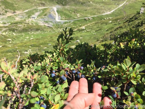 Lou Charmelle OnlyFans 1643d1d6c40bb4c2d51a